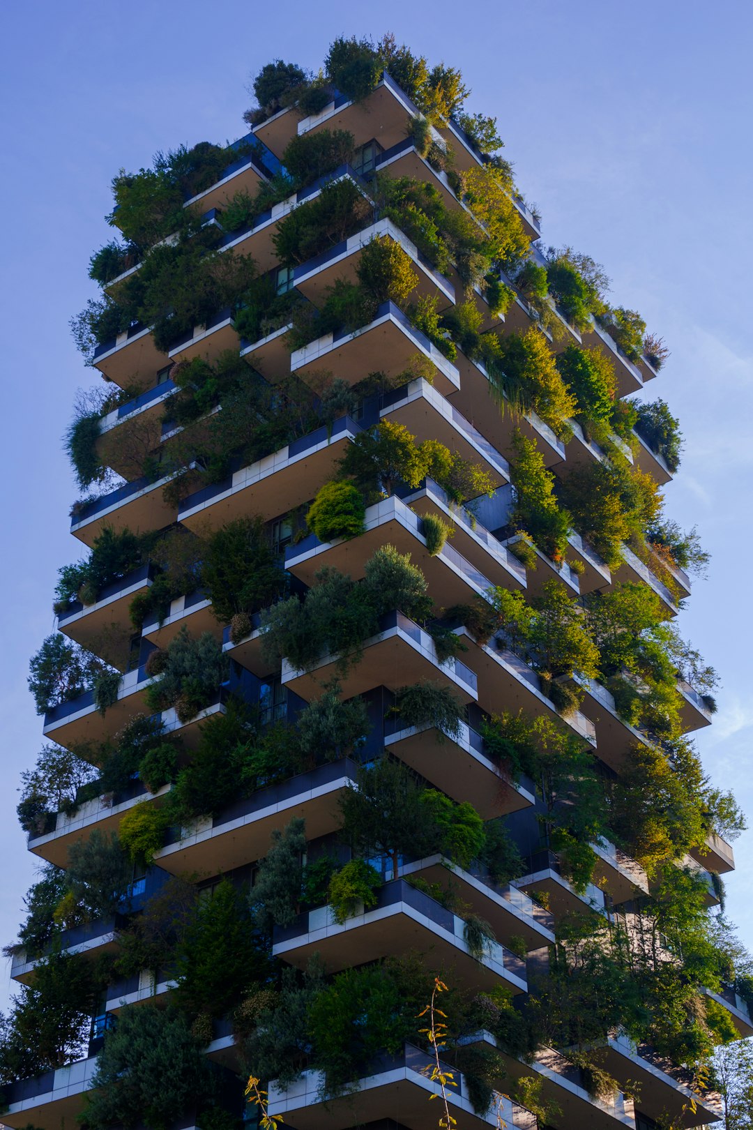 Sustainable Building